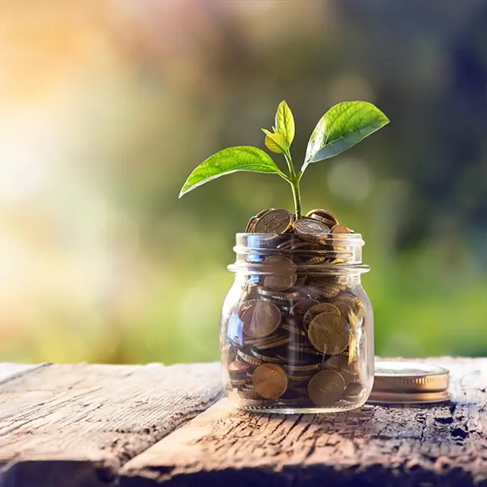 Rente- og gebyrfri betaling over elregningen