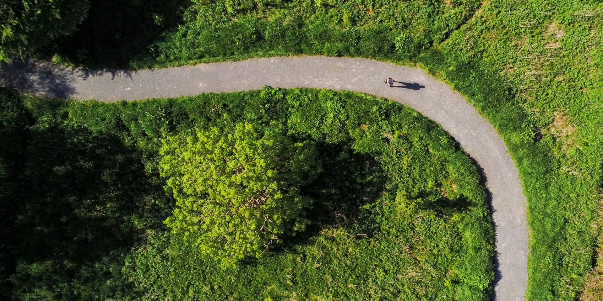 Billig og EnkEL elaftale