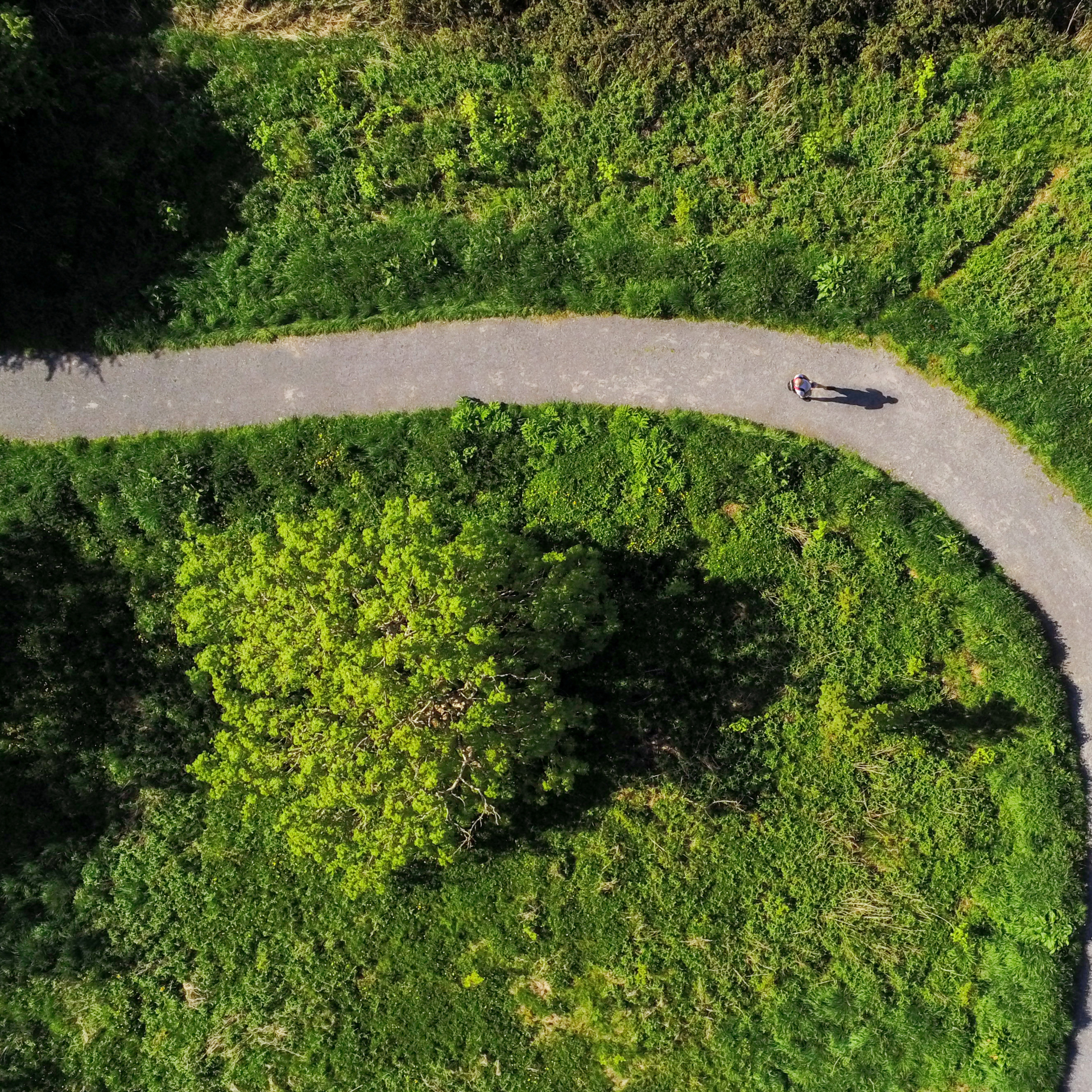 Billig og EnkEL elaftale